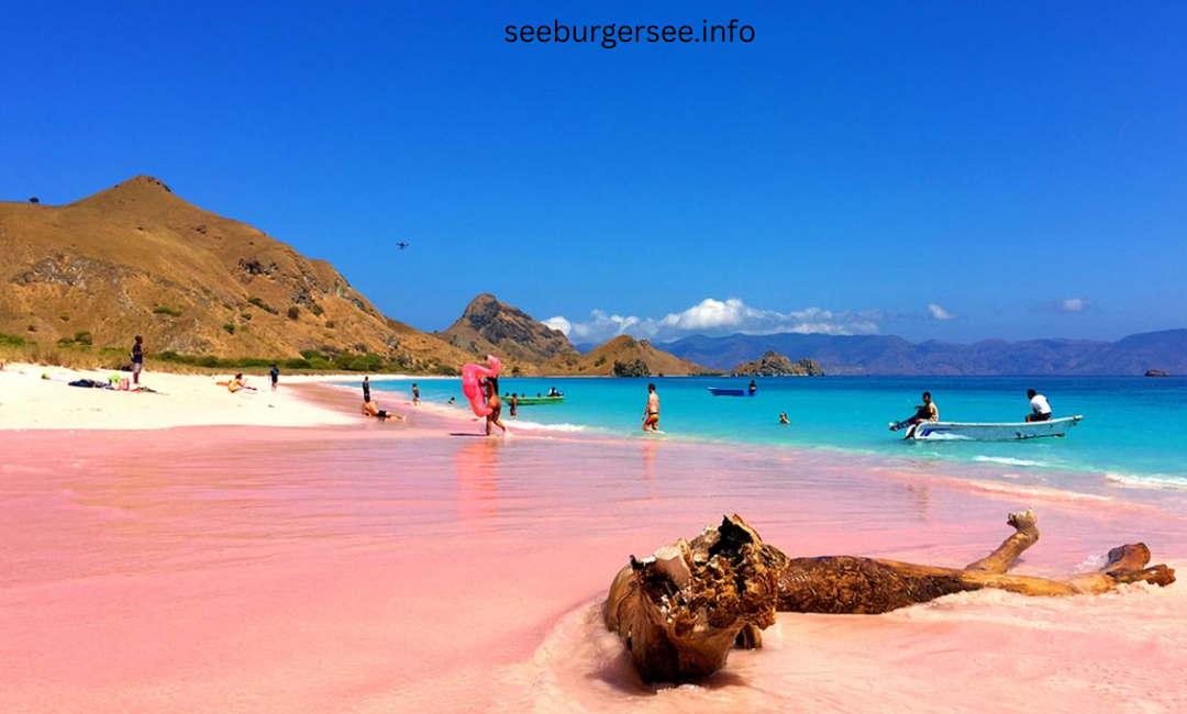 Pantai Pasir Pink Lombok: Surga Tersembunyi